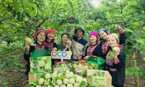 Đòn bẩy để kinh tế tập thể bứt phá