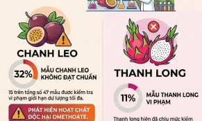 Doanh nghiệp xuất khẩu chanh leo, thanh long chịu áp lực lớn