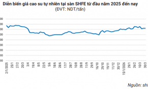 Giá cao su phân hóa, xuất khẩu tăng tốc