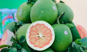 Để bưởi Việt vào Úc cần chuẩn hóa chuỗi giá trị 