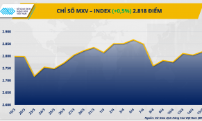 Lo ngại nguồn cung thúc đẩy lực mua, MXV-Index đảo chiều phục hồi