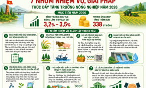 Quảng Trị triển khai 7 nhóm nhiệm vụ, giải pháp thúc đẩy tăng trưởng nông nghiệp năm 2026