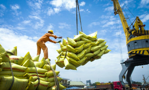 Vực dậy xuất khẩu gạo trước những biến số thị trường