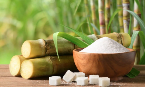 Ngành mía đường chuyển đổi xanh để nâng cao giá trị