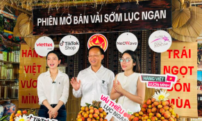Bắc Ninh đẩy mạnh chuyển đổi số để đưa vải thiều lên sàn thương mại điện tử