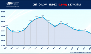 Áp lực bán lan rộng, MXV-Index rời vùng 2.900 điểm