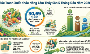 Nông nghiệp Việt Nam vượt mốc 30 tỷ USD xuất khẩu sau 5 tháng