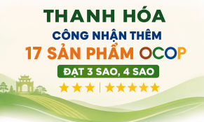 Thanh Hóa tiếp tục nâng số lượng sản phẩm OCOP đạt chuẩn