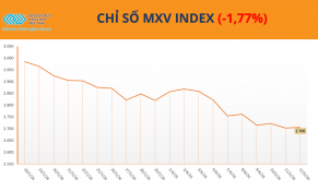 Chỉ số MXV-Index đánh mất 1,8%, cà phê nổi bật giữa nhịp điều chỉnh của thị trường