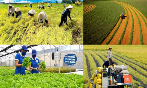 Phát triển nông nghiệp xanh đi vào giá trị thực chất