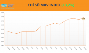 MXV-Index thiết lập vùng giá 2.700 điểm, giá dầu dẫn dắt thị trường