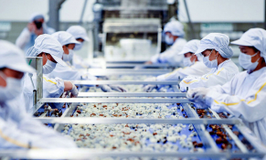 Tổng kim ngạch xuất khẩu nông, lâm, thủy sản đạt 58,3 tỷ USD trong 7 tháng năm 2022