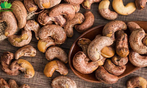 Xuất khẩu hạt điều tăng trưởng 2 con số trong quý I/2023