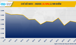 Giá ca cao lao dốc rất mạnh, giá đậu tương tăng tích cực