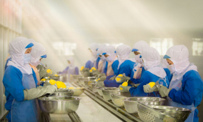 Gia Lai khơi dậy niềm tin, ‘kéo’ doanh nghiệp trở lại đường đua