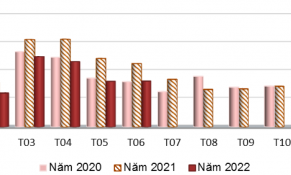 Xuất khẩu rau quả của trong tháng 6/2022 giảm gần 20%