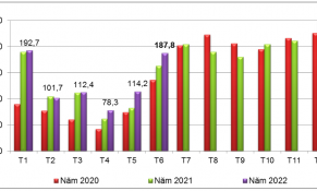 Tháng 6/2022: Xuất khẩu cao su vẫn tăng trưởng tốt mặc dù giá xuất khẩu giảm