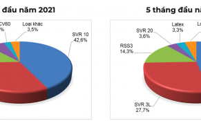 Xuất khẩu cao su của Việt Nam sang Ấn Độ tăng mạnh