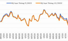 Giữa tháng 7/2022, giá cà phê thế giới giảm do đồng USD tăng giá so với các đồng tiền khác