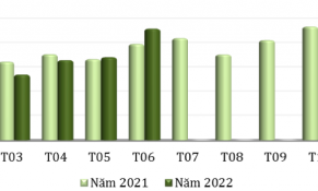 Tín hiệu tốt từ xuất khẩu chè tới thị trường Hoa Kỳ