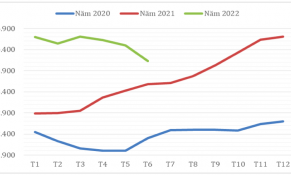 Tháng 6/2022: Giá xuất khẩu bình quân hạt tiêu đạt mức thấp nhất kể từ tháng 10/2021