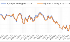 Tháng 7/2022: Giá cà phê thế giới tiếp tục duy trì ở mức thấp
