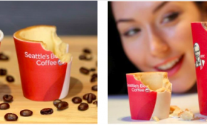 Xu hướng bao bì và tầm quan trọng của màu sắc