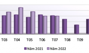 Dăm gỗ có trị giá xuất khẩu sang Hàn Quốc tăng rất mạnh trong nửa đầu năm 2022