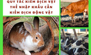 Đài Loan công bố sửa đổi Quy tắc kiểm dịch vật thể nhập khẩu cần kiểm dịch động vật