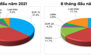 Ấn Độ tăng mạnh nhập khẩu cao su của Việt Nam cả về lượng và trị giá