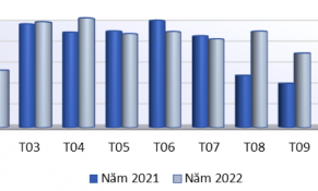 Xuất khẩu gỗ tăng trưởng tích cực, nhu cầu nhập khẩu của Hoa Kỳ dự kiến sẽ khả quan