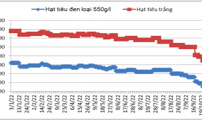 Quý 3/2022: Thị trường hạt tiêu toàn cầu đối mặt với khó khăn do nhu cầu thấp, giá giảm