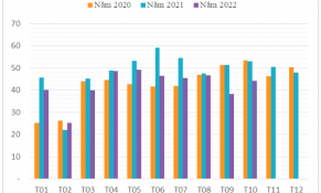 Tháng 10/2022: Xuất khẩu hạt điều tiếp tục giảm so với cùng kỳ năm trước