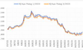 Tháng 11/2022, giá cà phê thế giới tiếp tục giảm do nhu cầu giảm