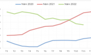 Giá xuất khẩu hạt tiêu trong tháng 11/2022 đạt mức thấp nhất kể từ tháng 4/2021