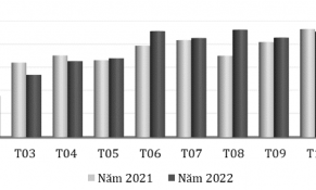 Xuất khẩu chè phục hồi mạnh trong tháng 11/2022 