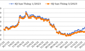 Cuối năm 2022, giá cà phê thế giới phục hồi nhờ sự trở lại của nền kinh tế lớn nhất thế giới Hoa Kỳ