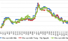 Thị trường thịt lợn đang có sự điều tiết chờ tín hiệu điều chỉnh tăng giá trở lại từ dịp Tết Dương lịch
