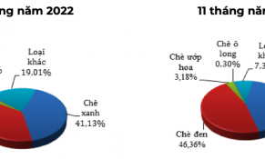 Năm 2022: Xuất khẩu chè tăng 15,3% về lượng và tăng 10,7% về trị giá so với năm 2021