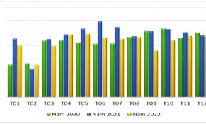 Năm 2022: Xuất khẩu hạt điều của Việt Nam đã không đạt được mục tiêu đề ra 3,2 tỷ USD 