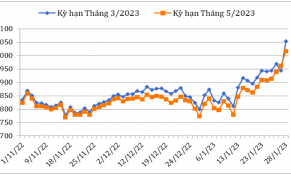 Giá cà phê Robusta trong tháng 1/2023 đạt mức cao nhất trong 3 tháng gần đây