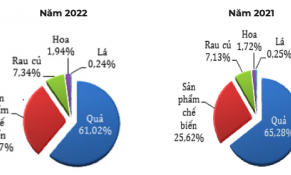 Năm 2022, cơ cấu chủng loại rau quả xuất khẩu có chuyển biến tích cực 