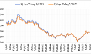 Đầu tháng 02/2023: Giá cà phê trên thế giới tiếp tục tăng với tốc độ chậm dần