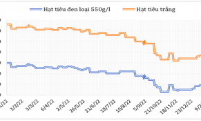 Đầu tháng 2/2023, giá hạt tiêu đen trên thị trường thế giới biến động không đồng nhất