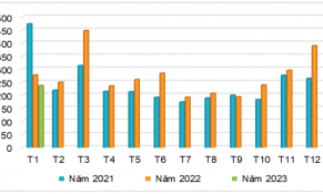 Giá xuất khẩu sắn ghi nhận nhiều tín hiệu tích cực