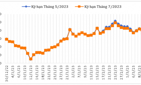 Đầu tháng 3/2023, giá cà phê Robusta trên thị trường thế giới tăng trong khi giá Arabica giảm