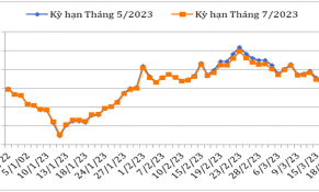 Giữa tháng 3/2023, giá cà phê Robusta và Arabica trên thị trường thế giới giảm mạnh