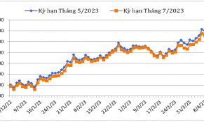 Đầu tháng 4/2023, giá cà phê Robusta và Arabica trên thị trường thế giới tăng mạnh