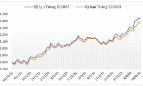 Giá cà phê Robusta và Arabica tiếp tục tăng trong giữa tháng 4/2023