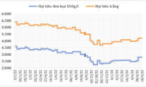 Giữa tháng 5/2023, giá xuất khẩu hạt tiêu đen và trắng tại Việt Nam tăng mạnh
